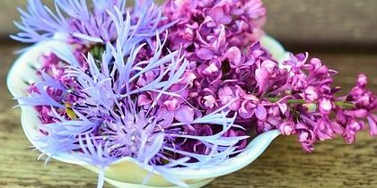 flowers-765757_640